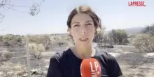 Incendi in Spagna, il reportage da Chapineria: case bruciate e auto carbonizzate