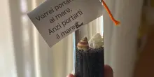 Il mare in una boccetta, il regalo dei futuri infermieri ai pazienti del Pascale