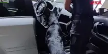 Udine, 24 arresti per traffico di droga: al vertice un boss sloveno in carcere
