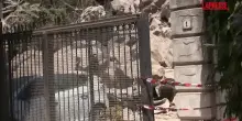 Terremoto Napoli, a Pozzuoli continua a franare il costone: strade chiuse e edifici transennati