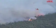 Grecia, a Porto Germeno i vigili del fuoco alle prese con gli incendi boschivi