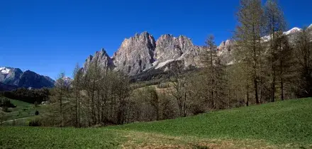 Precipita da sentiero con il cavallo per 300 metri: morto nel Vicentino