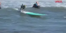 In California, cani in gara sulle onde: spettacolo ai Campionati di Dog Surfing