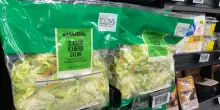 Ciclosporiasi, l&rsquo;epidemia di diarrea preoccupa gli Usa: primi due morti