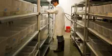 Ricerca, il bando che punta a contrastare la fuga di cervelli