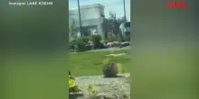 Usa, sparatoria fuori da un fast food: il video girato da un automobilista