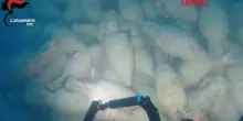 Relitto romano con centinaia di anfore scoperto al largo di Mazara del Vallo: il video dei carabinieri