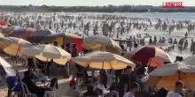 Gaza, la spiaggia diventa un rifugio contro il caldo tra le macerie