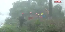 Cina, il tifone Dolphin su Yueqing con venti a 180 km/orari: centinaia di alberi abbattuti