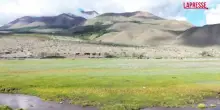 Russia, la gara degli yak nella remota Repubblica di Tuva