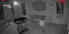 Parma, recuperati quadri di Cezanne, Matisse e Renoir rubati: il video dei ladri in azione