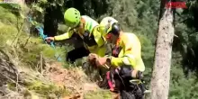 Montagna, Gdf salva un cane che era precipitato da un salto di roccia col padrone: il video delloperazione