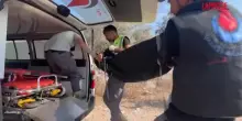 Libano, raid israeliano nel sud: almeno sette morti e tre feriti