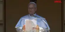 Papa Leone XIV all&rsquo;Angelus: "Preghiamo per i popoli colpiti dalle guerre"