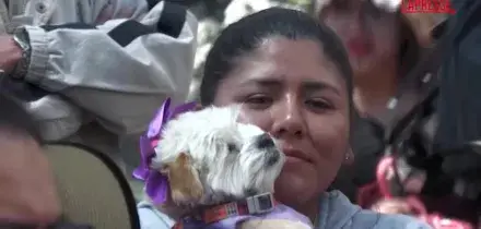 Bolivia, i cani benedetti in chiesa per la tradizionale festa di San Rocco