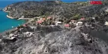Incendi in Grecia, il surreale paesaggio sullisola di Salamina: case distrutte e foreste ridotte a scheletro