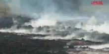 Belgio, incendio nelle Hautes Fagnes: i vigili del fuoco al lavoro