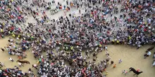 Palio di Siena, vince la contrada del Nicchio: per Tittia &egrave; la 13esima vittoria