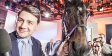 Varenne, il driver Minnucci: &ldquo;Era la mia famiglia, capii subito che era un campione&rdquo;