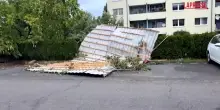 Germania, tornado su F&uuml;rstenwalde: albero sfonda il tetto di una casa