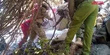 Kenya, elicottero da safari si schianta: 7 morti