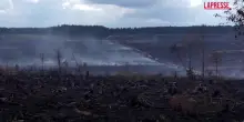 Belgio, gli incendi riportano alla luce mine e bombe della Seconda Guerra Mondiale