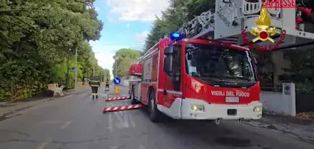 Maltempo: alberi caduti, frane e allagamenti. Vigili del fuoco al lavoro a Forl&igrave;