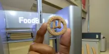 Plastica commestibile? Dai lieviti l&rsquo;ingrediente per biscotti &lsquo;spaziali&rsquo;