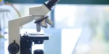 Nasce Precise, il consorzio europeo che punta a prevedere le vulnerabilit&agrave; dei tumori
