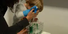 Spallanzani, torna la settimana della scienza per i 90 anni dell&rsquo;Istituto