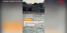 Palermo, cucciolo di delfino salvato dalla Guardia Costiera