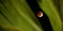 L&rsquo;eclissi di Luna del 28 agosto 2026 &ndash; Le pi&ugrave; belle foto dal mondo