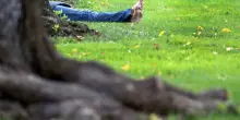 Memoria a rischio per via dell&rsquo;insonnia? Il potere di pisolino ed esercizio