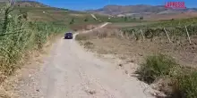 Trapani, lavoratore muore incastrato in macchinario per raccolta uva: sul posto i carabinieri