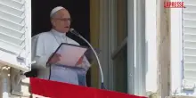 Ucraina, Papa: "Sforzi per ripresa negoziati portino frutti"