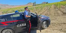 Trapani, tragedia sul lavoro: muore incastrato durante la vendemmia