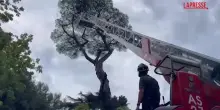 Maltempo a Roma, fulmine incendia albero davanti a Universit&agrave; degli Studi Link