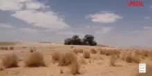 Yemen, i video degli attacchi Houthi contro le forze filo-saudite: esplosioni e veicoli in fiamme