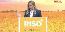 Lavoro, Meloni: "8 ore non &egrave; diritto acquisito ma frutto della lotta delle donne"