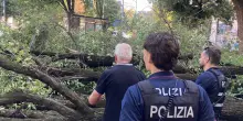 Milano, grosso albero caduto in piazza Risorgimento &ndash; Le foto