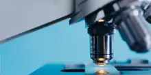 Ricerca, Bicocca: difese immunitarie &lsquo;sentono&rsquo; microbi prima di identificarli