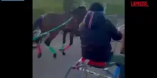 Catania, spari e kalashnikov in corsa clandestina di cavalli: arrestato