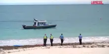 Australia: uomo ucciso da squalo al largo di Perth, le ricerche del corpo