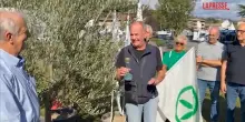 Pontida 2026: Calderoli e Leoni piantano ulivo vicino a pratone: "Questo simbolo &egrave; Bossi"