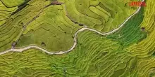 Cina, le risaie terrazzate di Luoyuan si tingono d&rsquo;oro