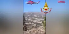 Sardegna, vitello di oltre 200 kg cade in un dirupo: il salvataggio dei vigili del fuoco