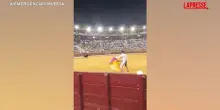 Spagna, toro salta la recinzione: paura alla Feria di Murcia 2026