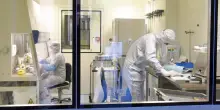 Car-T contro il tumore al fegato a 3 anni e la nuova era per le cure