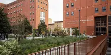 Universit&agrave;, crescono i candidati per il corso Medicine and surgery di Bicocca-UniBg