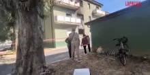Lucca, incendio in appartamento causa 2 morti: le immagini dellabitazione andata a fuoco
